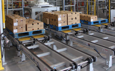 pallet chain conveyors in haryana