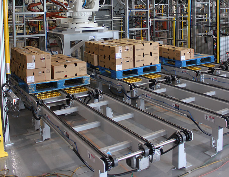 pallet chain conveyors in haryana