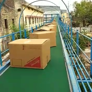 Box Transfer Conveyor