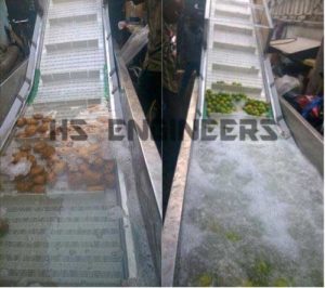 Fruits Washing Conveyor